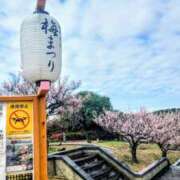 ヒメ日記 2026/02/27 08:15 投稿 みほ 逢って30秒で即尺