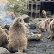 ヒメ日記 2026/03/15 08:30 投稿 みほ 逢って30秒で即尺