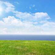 ヒメ日記 2026/04/20 09:00 投稿 みほ 逢って30秒で即尺