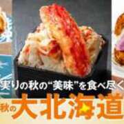 ヒメ日記 2026/10/07 08:15 投稿 みほ 逢って30秒で即尺