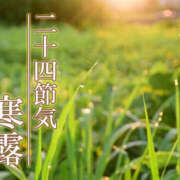 ヒメ日記 2026/10/08 09:45 投稿 みほ 逢って30秒で即尺