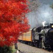ヒメ日記 2026/10/14 08:00 投稿 みほ 逢って30秒で即尺
