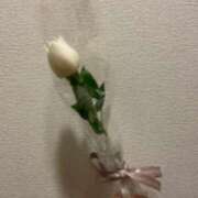 ヒメ日記 2025/06/23 00:43 投稿 ちな しろうと娘　本店