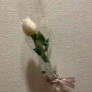 ヒメ日記 2025/07/03 00:33 投稿 ちな しろうと娘　本店