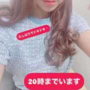 ヒメ日記 2025/08/04 12:16 投稿 ともみ チェックイン素人専門大人女子