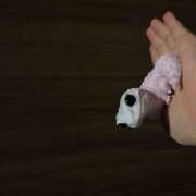 ヒメ日記 2025/12/27 01:06 投稿 みお OLIVE  SPA(広島)