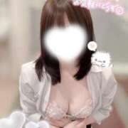 ヒメ日記 2026/09/14 07:45 投稿 天使　るる プルプル京都性感エステ　はんなり