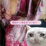 ヒメ日記 2025/09/19 15:15 投稿 くれは いざ候 本館