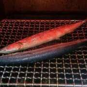 ヒメ日記 2025/10/24 12:27 投稿 くれは いざ候 本館