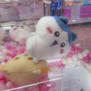 ヒメ日記 2025/12/31 23:09 投稿 くれは いざ候 本館