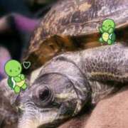 ヒメ日記 2026/01/02 23:58 投稿 くれは いざ候 本館