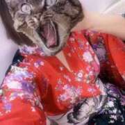 ヒメ日記 2026/01/07 00:05 投稿 くれは いざ候 本館