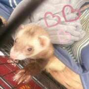 ヒメ日記 2026/01/08 21:30 投稿 くれは いざ候 本館