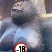 ヒメ日記 2026/01/12 23:37 投稿 くれは いざ候 本館