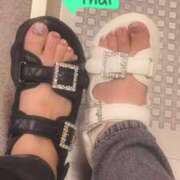 ヒメ日記 2026/01/17 23:27 投稿 くれは いざ候 本館