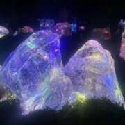 ヒメ日記 2026/01/21 15:07 投稿 くれは いざ候 本館