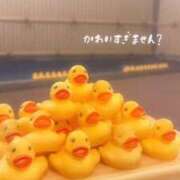 ヒメ日記 2026/02/03 23:50 投稿 くれは いざ候 本館