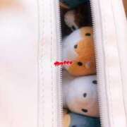 ヒメ日記 2026/02/04 23:48 投稿 くれは いざ候 本館