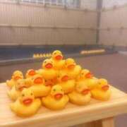 ヒメ日記 2026/02/05 22:33 投稿 くれは いざ候 本館