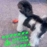 ヒメ日記 2026/02/10 21:59 投稿 くれは いざ候 本館