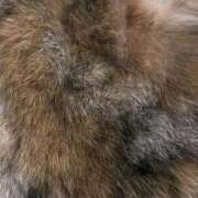 ヒメ日記 2026/02/11 21:47 投稿 くれは いざ候 本館