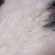 ヒメ日記 2026/02/11 21:57 投稿 くれは いざ候 本館