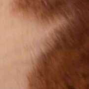 ヒメ日記 2026/02/11 23:58 投稿 くれは いざ候 本館