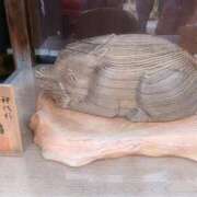 ヒメ日記 2026/02/14 23:17 投稿 くれは いざ候 本館