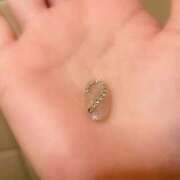 ヒメ日記 2026/02/16 22:57 投稿 くれは いざ候 本館