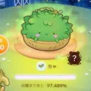 ヒメ日記 2026/02/17 22:19 投稿 くれは いざ候 本館