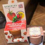 ヒメ日記 2026/02/20 22:51 投稿 くれは いざ候 本館