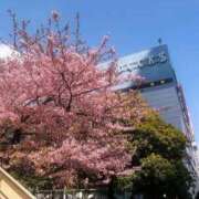 ヒメ日記 2026/02/22 18:18 投稿 くれは いざ候 本館