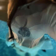 ヒメ日記 2025/09/30 14:48 投稿 れいあ ラブコレ