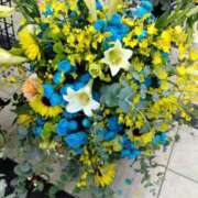 ヒメ日記 2025/05/21 14:06 投稿 つばき 佐賀人妻デリヘル 「デリ夫人」