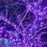 ヒメ日記 2025/12/29 20:57 投稿 恋／こい 五反田アネージュ（ユメオト）