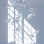 ヒメ日記 2025/12/31 13:29 投稿 恋／こい 五反田アネージュ（ユメオト）