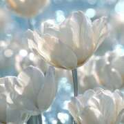 ヒメ日記 2026/01/04 15:00 投稿 恋／こい 五反田アネージュ（ユメオト）