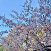 ヒメ日記 2026/03/14 21:32 投稿 恋／こい 五反田アネージュ（ユメオト）