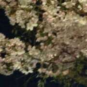 ヒメ日記 2026/04/01 21:41 投稿 KISS【キス】 ピンクコレクション大阪