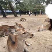 ヒメ日記 2025/07/20 11:38 投稿 KISS【キス】 ピンクコレクション大阪キタ店