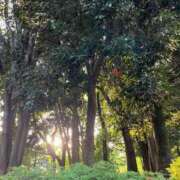 ヒメ日記 2025/05/27 09:48 投稿 つぐみ 新妻物語