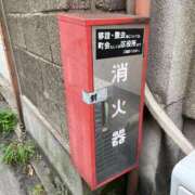 ヒメ日記 2025/07/17 09:13 投稿 つぐみ 新妻物語