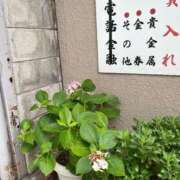 ヒメ日記 2025/08/14 15:48 投稿 つぐみ 新妻物語