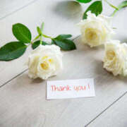 ヒメ日記 2025/05/20 23:41 投稿 あやの 熟女の風俗最終章 宇都宮店