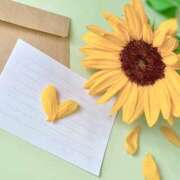 ヒメ日記 2025/06/27 06:41 投稿 あやの 熟女の風俗最終章 宇都宮店