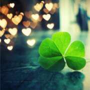 ヒメ日記 2025/09/05 07:41 投稿 あやの 熟女の風俗最終章 宇都宮店