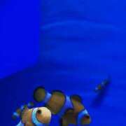 あやの 【 お休みに変更です🤲💭】 熟女の風俗最終章 宇都宮店