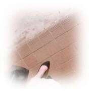 ヒメ日記 2026/02/25 18:14 投稿 あやの 熟女の風俗最終章 宇都宮店