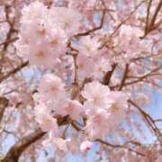 ヒメ日記 2026/03/27 18:01 投稿 あやの 熟女の風俗最終章 宇都宮店