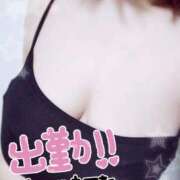 ヒメ日記 2025/05/22 09:10 投稿 みひろ☆業界未経験清楚系 松戸人妻城